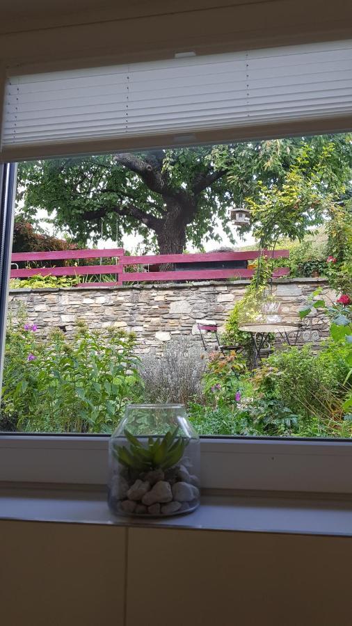 Blick Ueber Krems Mit Gartenpavillon מראה חיצוני תמונה